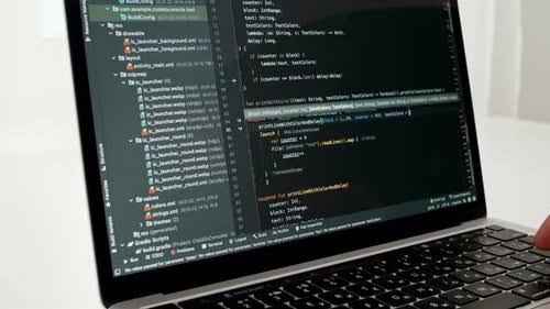 Desarrollo Web